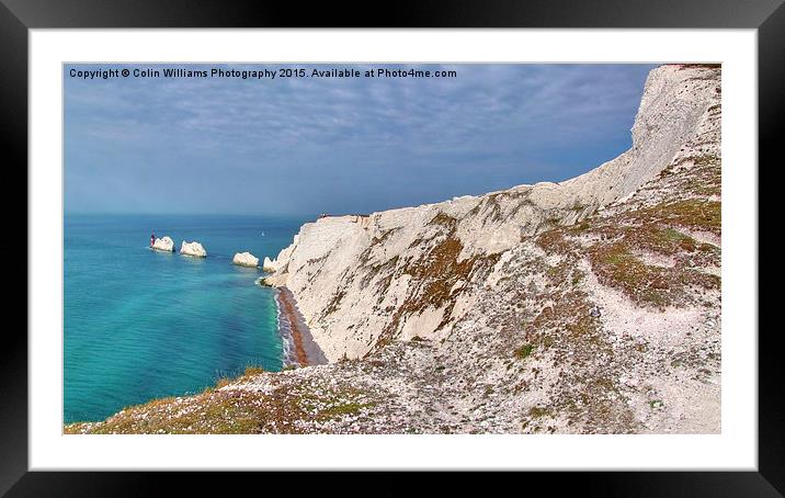  The Needles - Isle of Wight Panorama Framed Mounted Print by Colin Williams Photography