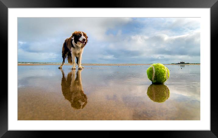  Dog v Ball Framed Mounted Print by Alan Simpson