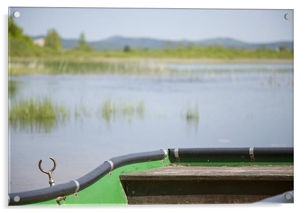 Cerknica Lake, seasonal lake in Slovenia Acrylic by Ian Middleton
