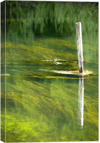 Rakov Skocjan, Slovenia Canvas Print by Ian Middleton