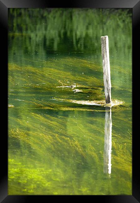 Rakov Skocjan, Slovenia Framed Print by Ian Middleton