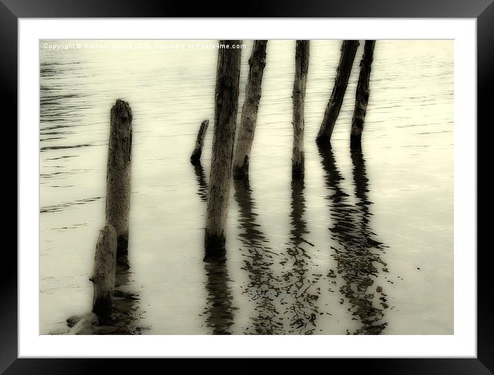 Wooden pilings Framed Mounted Print by Graham Moore
