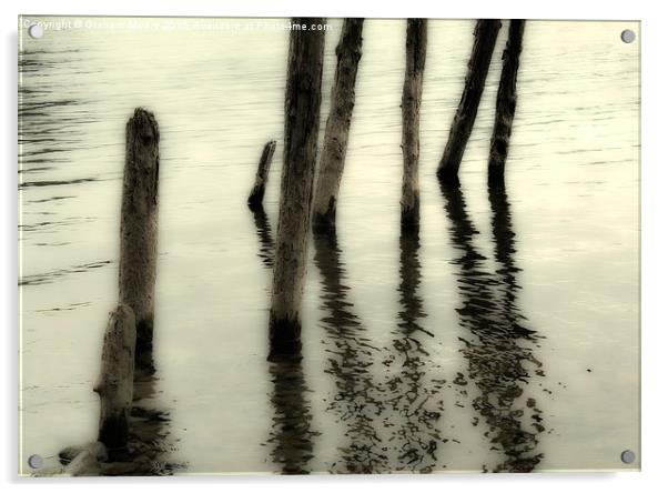 Wooden pilings Acrylic by Graham Moore