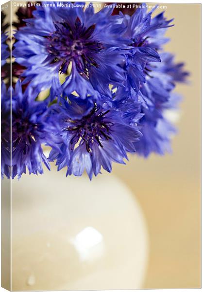 Blue  Cornflowers in a vase Canvas Print by Lynne Morris (Lswpp)