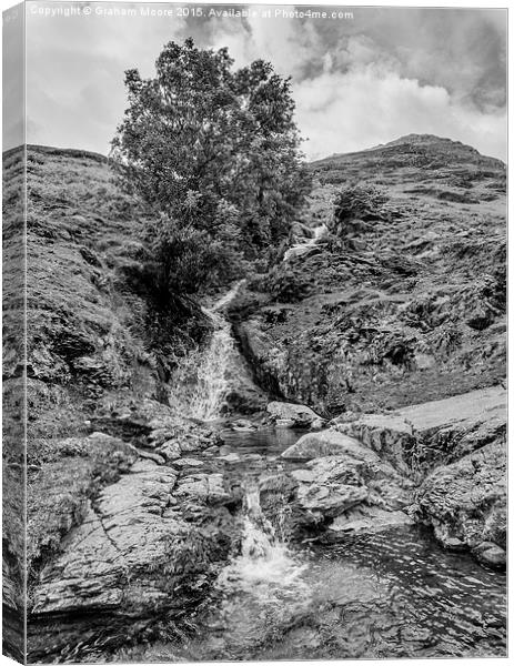 Comb Beck Canvas Print by Graham Moore