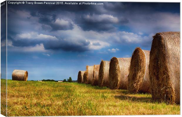  Haystack Rolls Canvas Print by Tracy Brown-Percival