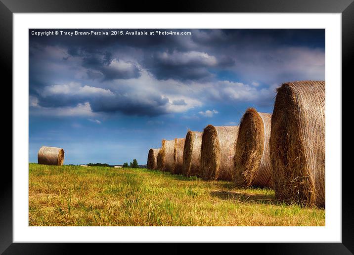  Haystack Rolls Framed Mounted Print by Tracy Brown-Percival