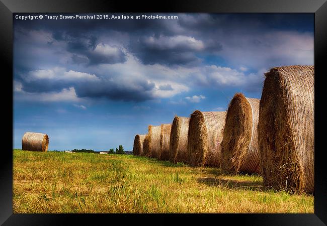  Haystack Rolls Framed Print by Tracy Brown-Percival