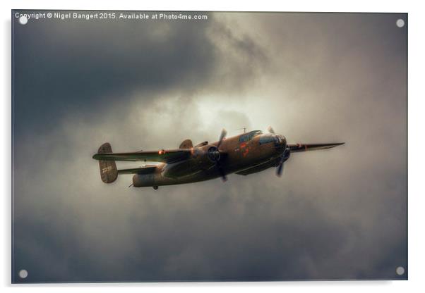 B-25 Mitchell Bomber  Acrylic by Nigel Bangert