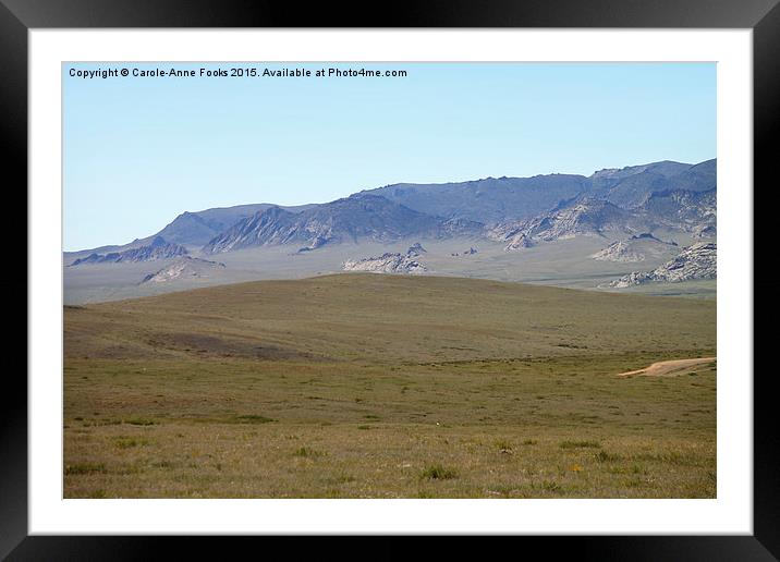   The Middle Gobi Mongolia Framed Mounted Print by Carole-Anne Fooks