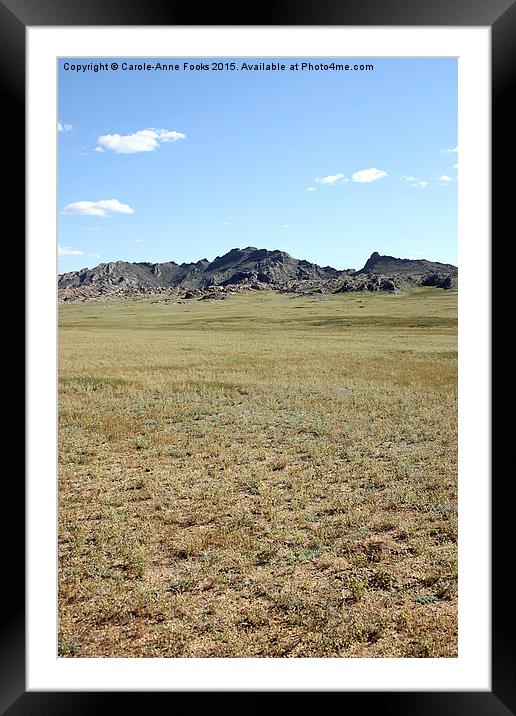   The Middle Gobi Mongolia Framed Mounted Print by Carole-Anne Fooks