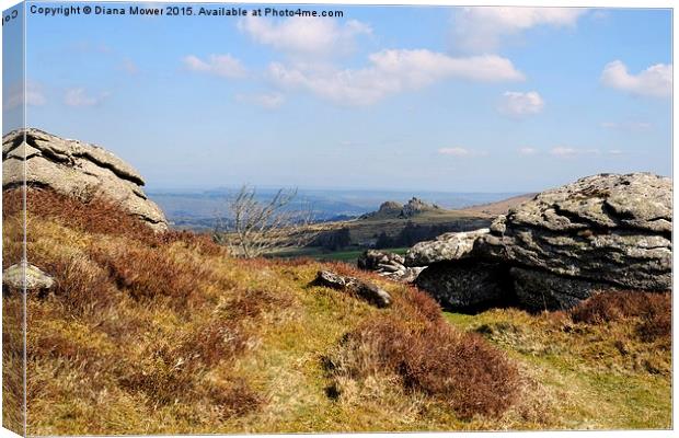 Hound Tor From Honeybag Tor  Canvas Print by Diana Mower