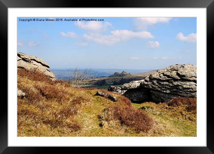 Hound Tor From Honeybag Tor  Framed Mounted Print by Diana Mower