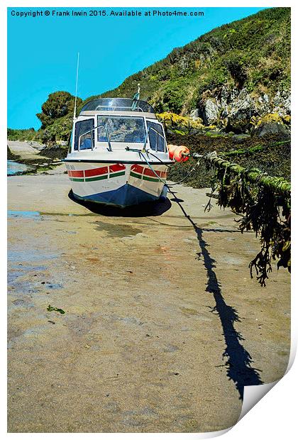  A small motorboat tied up in Porthclais harbour Print by Frank Irwin