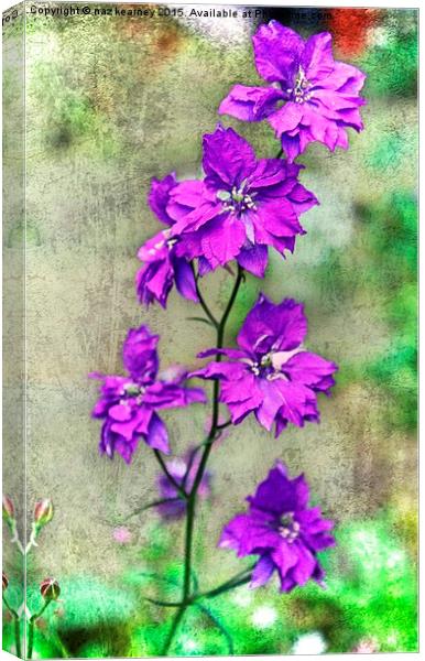  the wild orchid Canvas Print by naz kearney