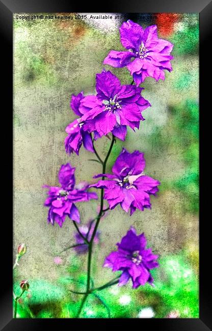  the wild orchid Framed Print by naz kearney