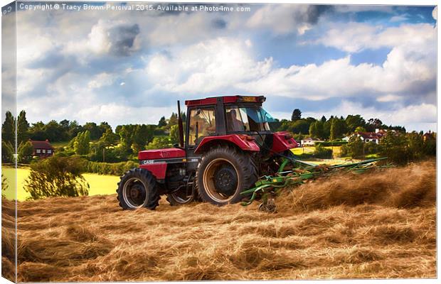 Cutting Hay Canvas Print by Tracy Brown-Percival