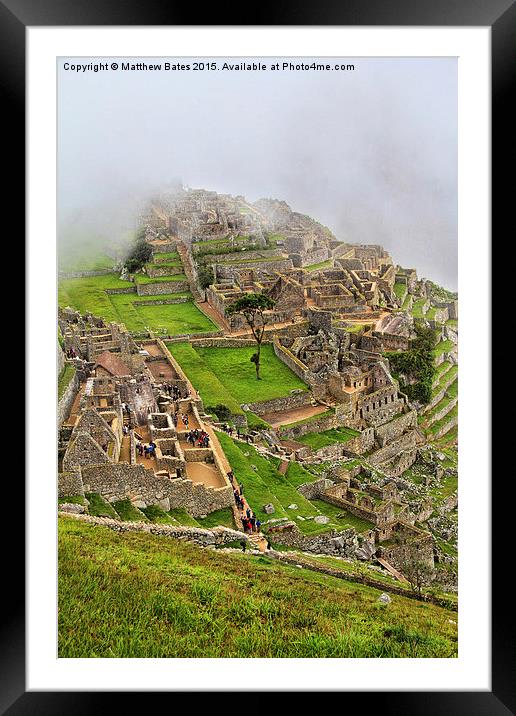 Machu Picchu tree Framed Mounted Print by Matthew Bates