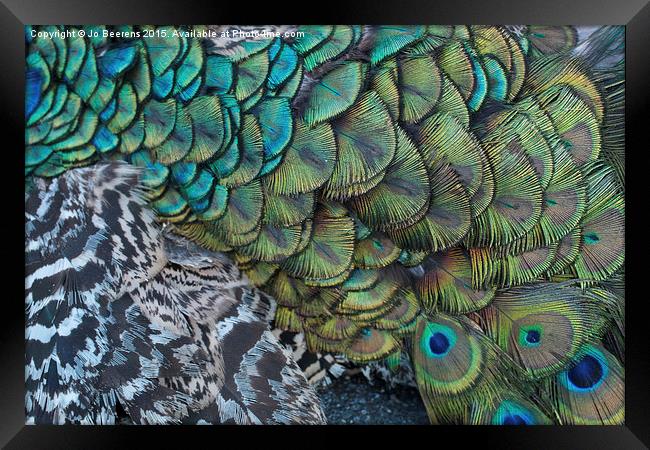 peacock pattern Framed Print by Jo Beerens