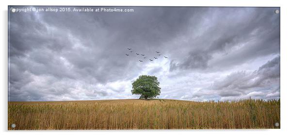  Single oak tree Acrylic by John Allsop