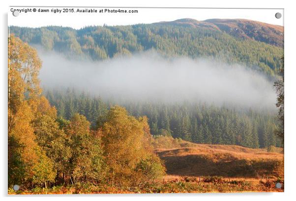  Highlands in Autumn Acrylic by Dawn Rigby