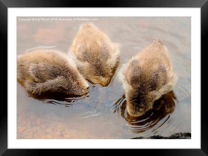 What are you looking for? Framed Mounted Print by Karl Burrill