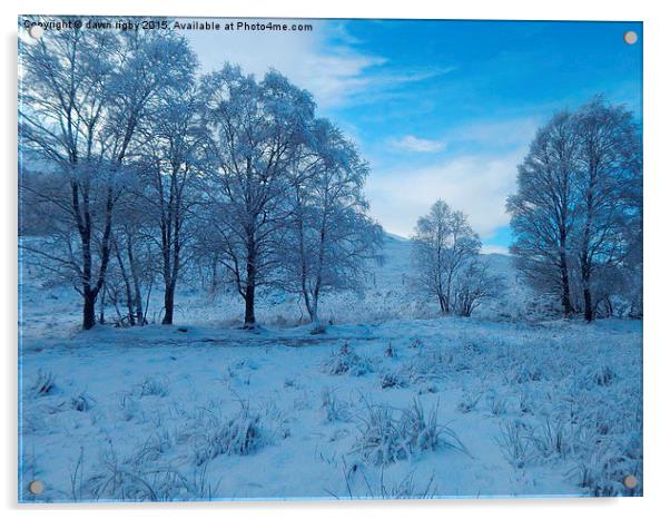  Snow in the Glen Acrylic by Dawn Rigby