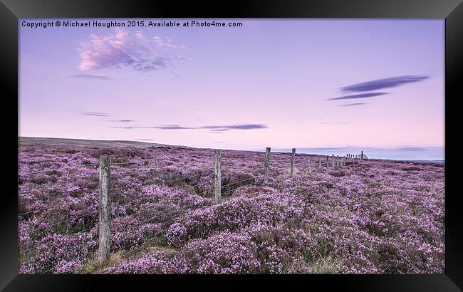  Blooming heather Framed Print by Michael Houghton