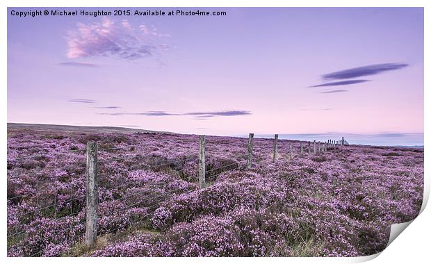  Blooming heather Print by Michael Houghton