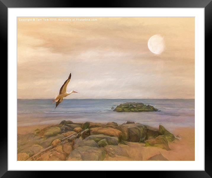  The Stork And The Sea Framed Mounted Print by Tom York