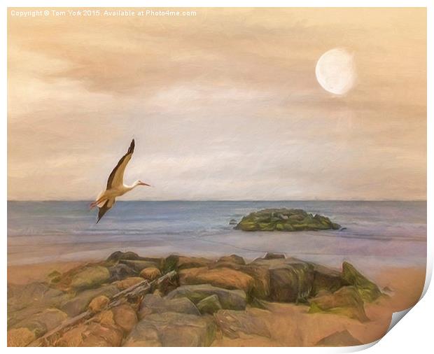 The Stork And The Sea Print by Tom York