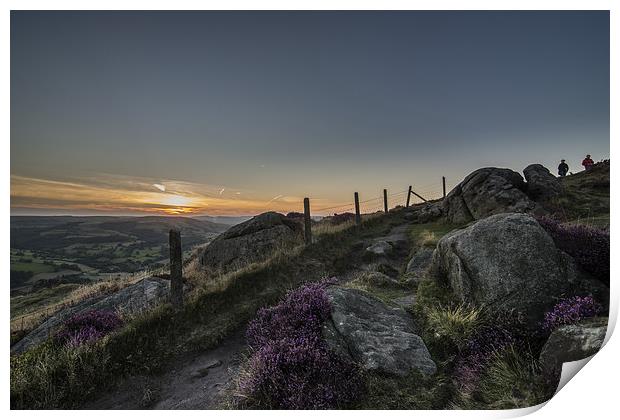 Heather in Bloom at Millstone Edge Print by Jeni Harney