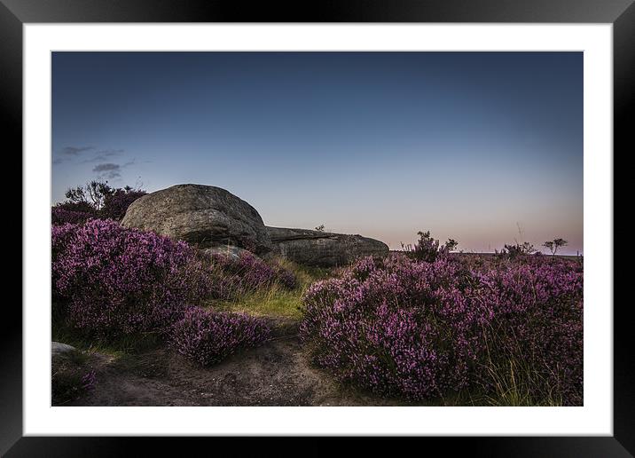 Heather in Bloom at Millstone Edge Framed Mounted Print by Jeni Harney