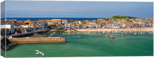 Saint Ives Bay Canvas Print by Andy Evans