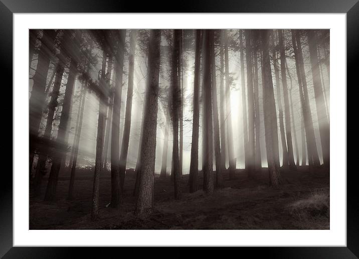 Misty Sunrise  Framed Mounted Print by Sean Wareing