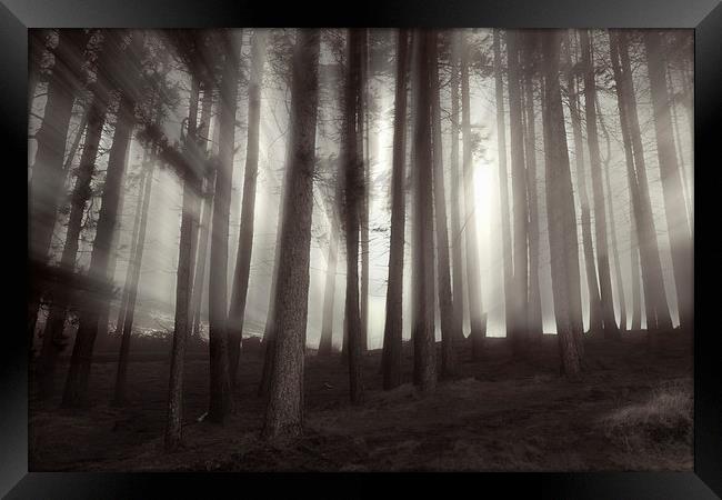 Misty Sunrise  Framed Print by Sean Wareing