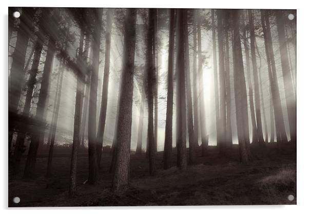 Misty Sunrise  Acrylic by Sean Wareing