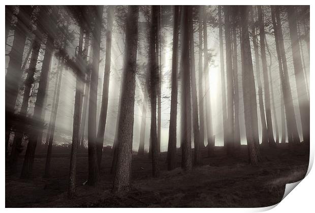 Misty Sunrise  Print by Sean Wareing