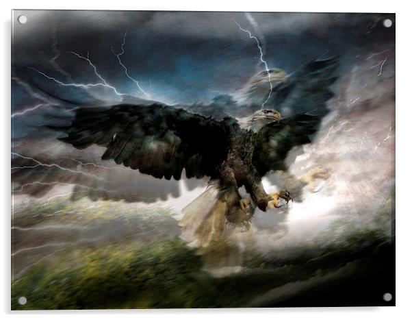  I sea eagles Acrylic by Alan Mattison