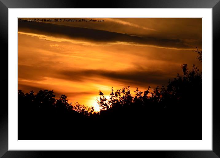  silhouette sunset Framed Mounted Print by Carl Harlott