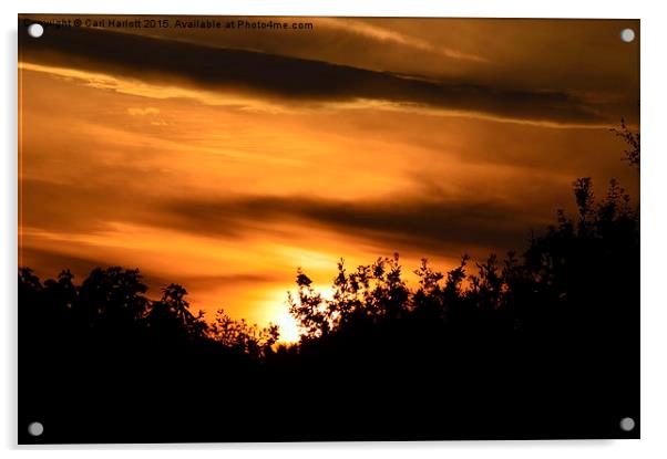  silhouette sunset Acrylic by Carl Harlott