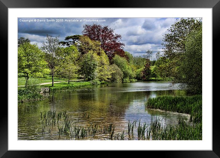  The Beauty of Blenheim Framed Mounted Print by David Smith