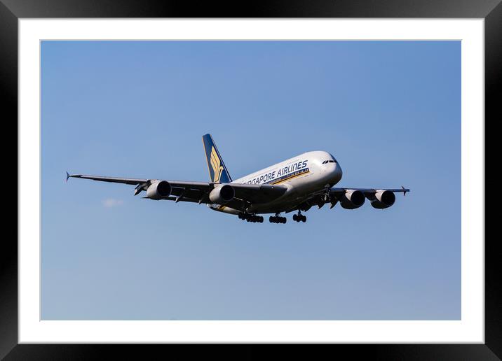 Singapore Airlines Airbus A380 Framed Mounted Print by David Pyatt