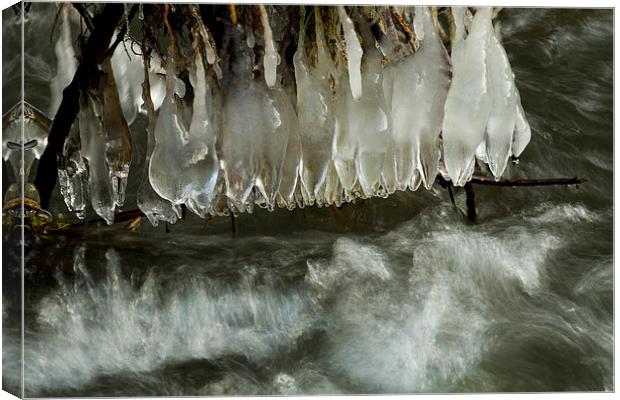 Icicles formations Canvas Print by S Fierros
