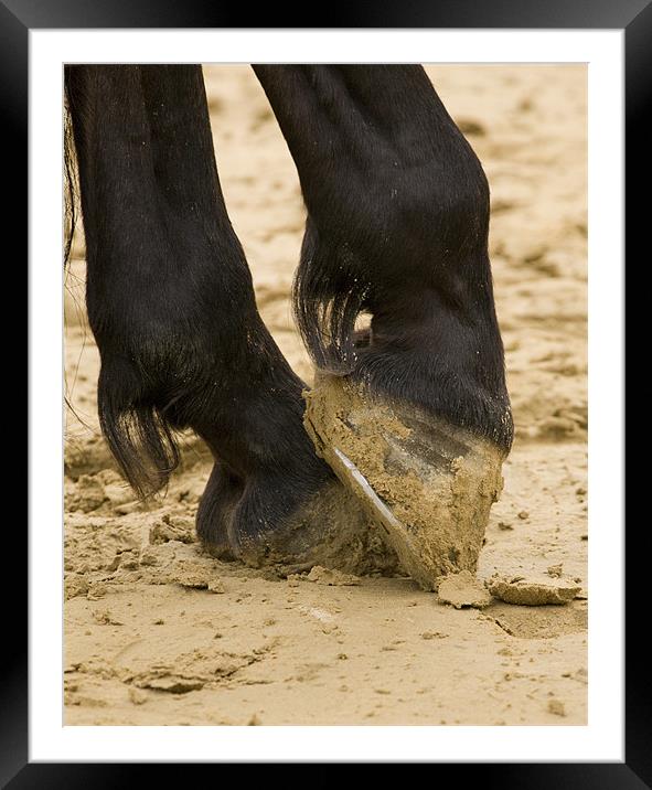 Close up of horses feet Framed Mounted Print by Ian Middleton