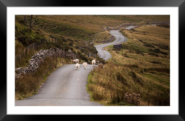  Welsh mountain road Framed Mounted Print by Leighton Collins