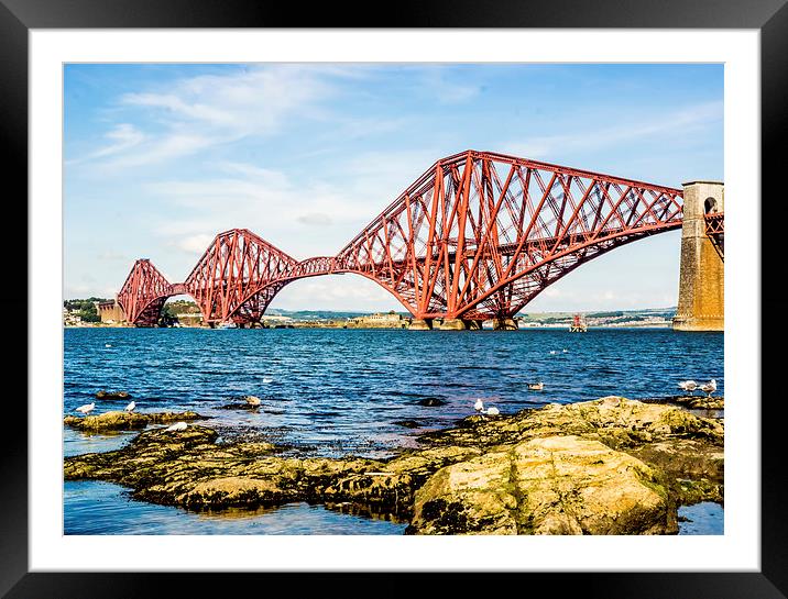 Forth Bridge - Cantilever bridge in Scotland  Framed Mounted Print by Tanya Hall