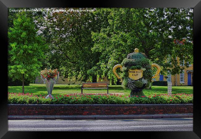 Rugby world cup flowers Framed Print by Avril Harris