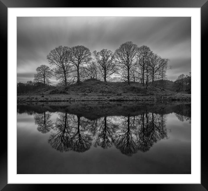 Elterwater Trees  Framed Mounted Print by Jed Pearson