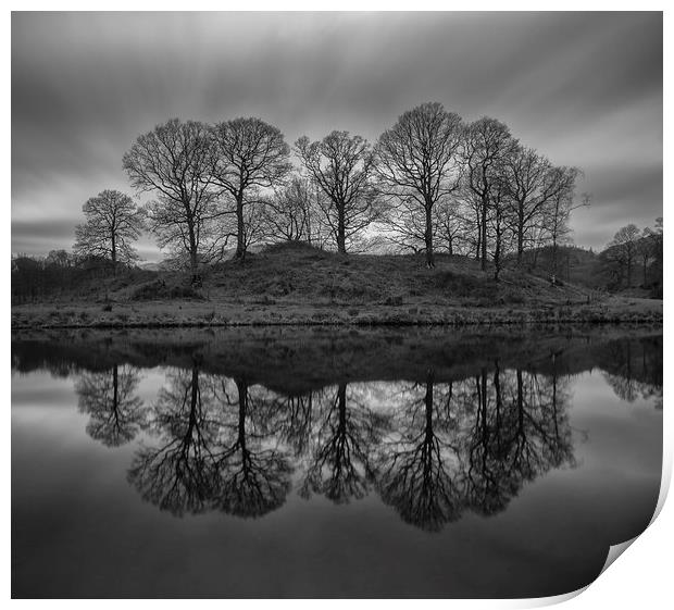 Elterwater Trees  Print by Jed Pearson